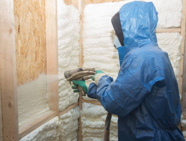 Best Basement Insulation  in Shepherd, TX